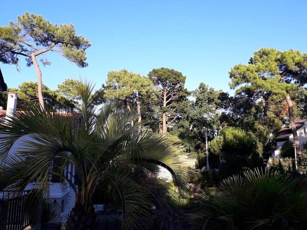 Belle De Dune La Baule-Escoublac Buitenkant foto